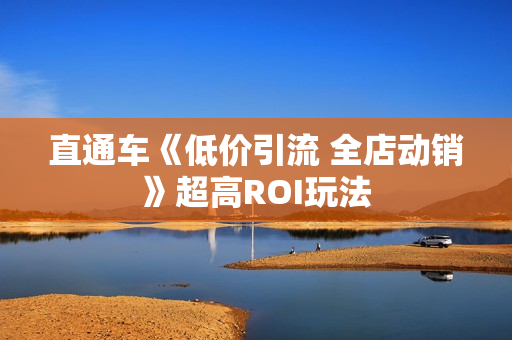 直通车《低价引流 全店动销》超高ROI玩法