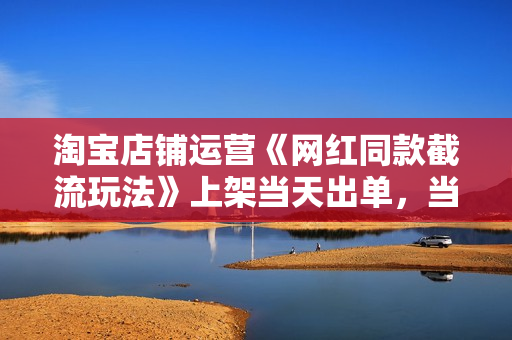 淘宝店铺运营《网红同款截流玩法》上架当天出单，当月破10w+