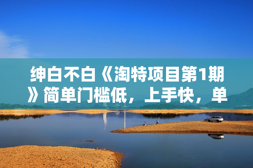 绅白不白《淘特项目第1期》简单门槛低，上手快，单店单日100利润，可批量操作