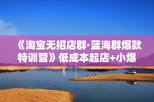 《淘宝无招店群·蓝海群爆款特训营》低成本起店+小爆款打造+群爆款维护