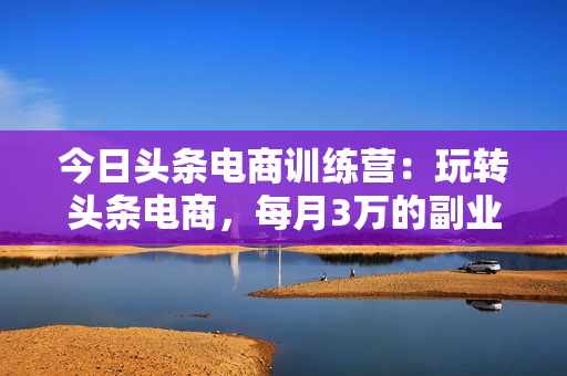 今日头条电商训练营：玩转头条电商，每月3万的副业收入
