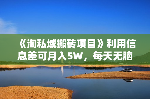 《淘私域搬砖项目》利用信息差可月入5W，每天无脑操作1小时