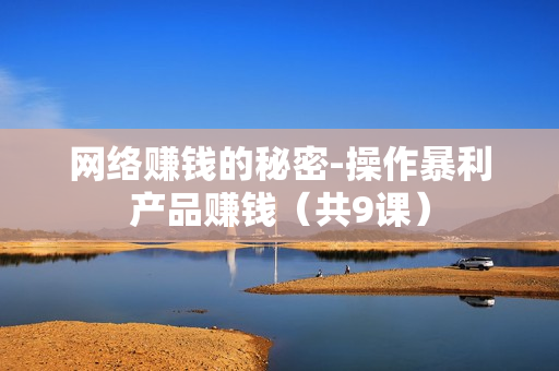 网络赚钱的秘密-操作暴利产品赚钱（共9课）