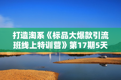 打造淘系《标品大爆款引流班线上特训营》第17期5天直播授课