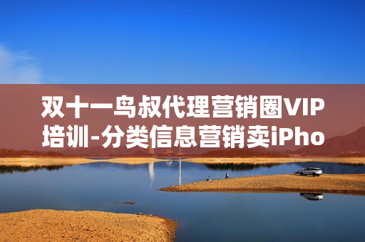 双十一鸟叔代理营销圈VIP培训-分类信息营销卖iPhone55S
