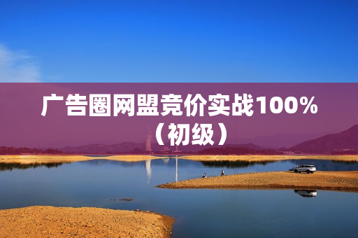 广告圈网盟竞价实战100%（初级）