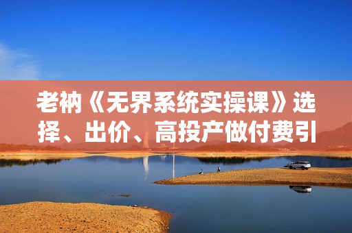老衲《无界系统实操课》选择、出价、高投产做付费引流