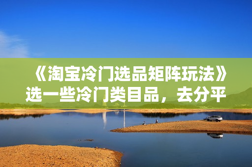 《淘宝冷门选品矩阵玩法》选一些冷门类目品，去分平台一点羹
