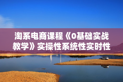 淘系电商课程《0基础实战教学》实操性系统性实时性