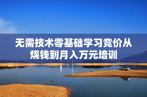 无需技术零基础学习竞价从烧钱到月入万元培训