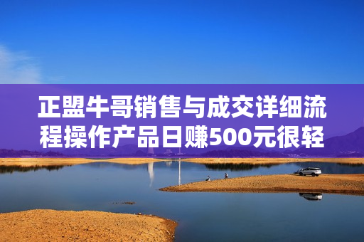 正盟牛哥销售与成交详细流程操作产品日赚500元很轻松