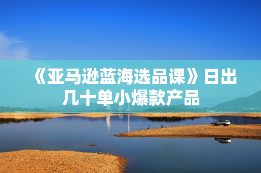 《亚马逊蓝海选品课》日出几十单小爆款产品