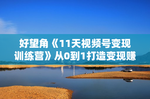 好望角《11天视频号变现训练营》从0到1打造变现赚钱系统
