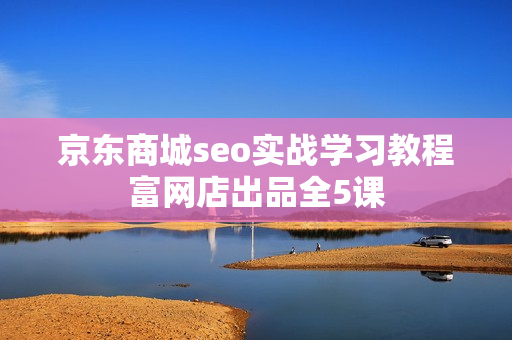 京东商城seo实战学习教程富网店出品全5课