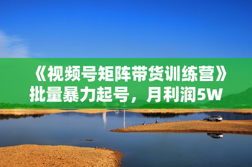 《视频号矩阵带货训练营》批量暴力起号，月利润5W+
