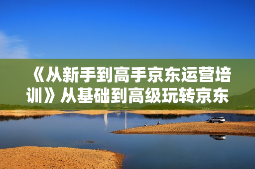 《从新手到高手京东运营培训》从基础到高级玩转京东电商平台