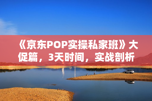 《京东POP实操私家班》大促篇，3天时间，实战剖析-从零到百万爆款店铺