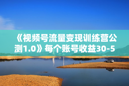 《视频号流量变现训练营公测1.0》每个账号收益30-50