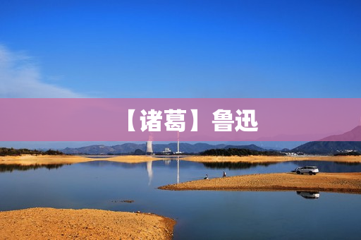 【诸葛】鲁迅