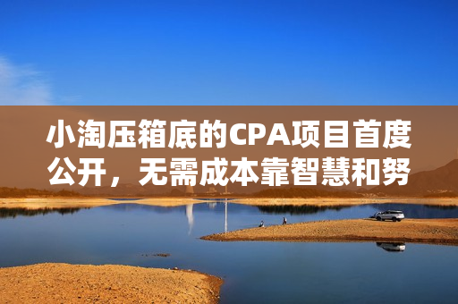 小淘压箱底的CPA项目首度公开，无需成本靠智慧和努力赚钱（12集完整版+工具软件）