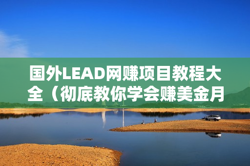 国外LEAD网赚项目教程大全（彻底教你学会赚美金月入5万）