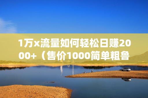 1万x流量如何轻松日赚2000+（售价1000简单粗鲁的赚钱方法)