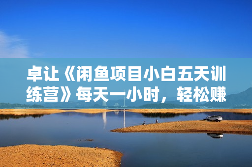 卓让《闲鱼项目小白五天训练营》每天一小时，轻松赚钱快人一步