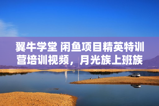 翼牛学堂 闲鱼项目精英特训营培训视频，月光族上班族的闲鱼赚钱课程
