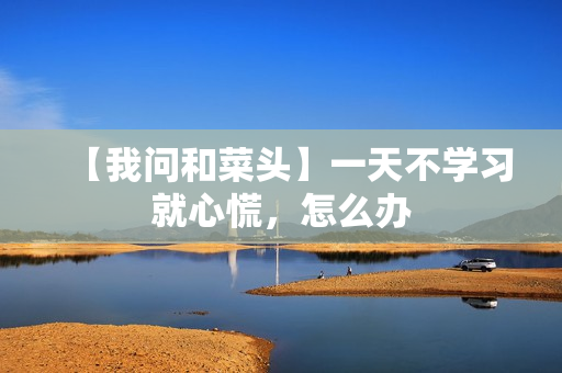 【我问和菜头】一天不学习就心慌，怎么办