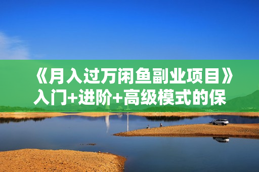《月入过万闲鱼副业项目》入门+进阶+高级模式的保姆级辅导教程！