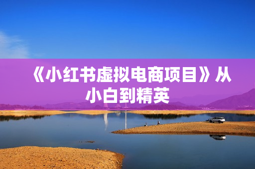 《小红书虚拟电商项目》从小白到精英