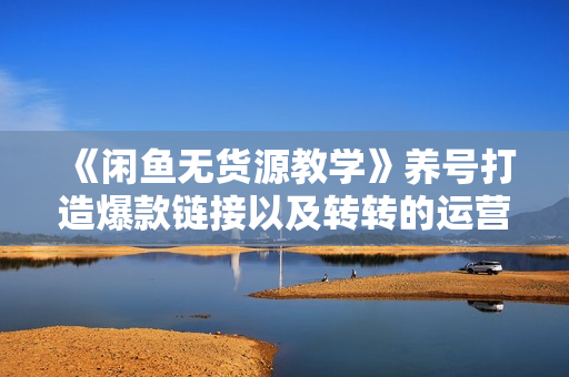 《闲鱼无货源教学》养号打造爆款链接以及转转的运营技巧