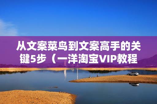 从文案菜鸟到文案高手的关键5步（一洋淘宝VIP教程无水印）