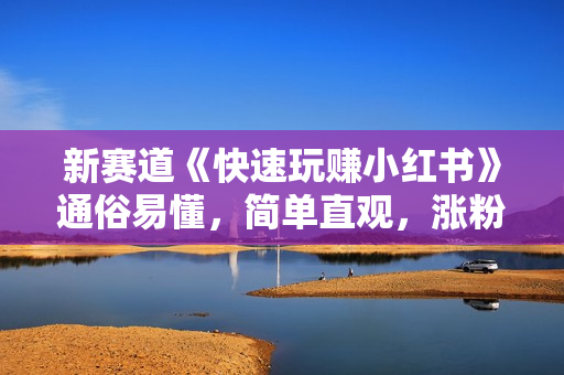 新赛道《快速玩赚小红书》通俗易懂，简单直观，涨粉变现