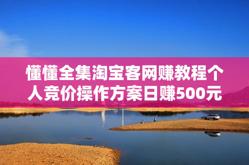 懂懂全集淘宝客网赚教程个人竞价操作方案日赚500元日赚600元