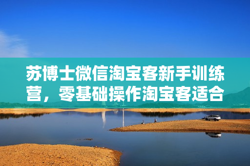 苏博士微信淘宝客新手训练营，零基础操作淘宝客适合小白学习（售价2380）
