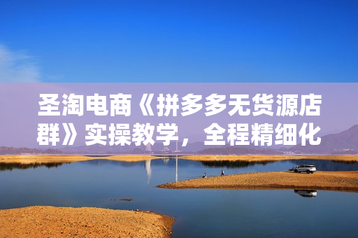 圣淘电商《拼多多无货源店群》实操教学，全程精细化讲解