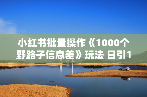 小红书批量操作《1000个野路子信息差》玩法 日引100+创业粉