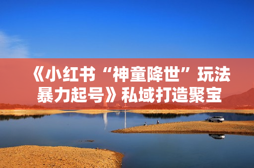 《小红书“神童降世”玩法 暴力起号》私域打造聚宝盆 弯道超车