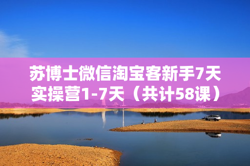 苏博士微信淘宝客新手7天实操营1-7天（共计58课）