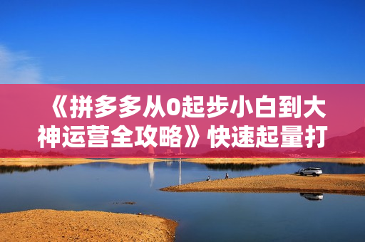 《拼多多从0起步小白到大神运营全攻略》快速起量打造10W+爆款全攻略
