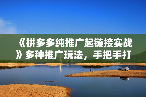 《拼多多纯推广起链接实战》多种推广玩法，手把手打造爆款链接