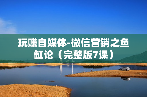 玩赚自媒体-微信营销之鱼缸论（完整版7课）