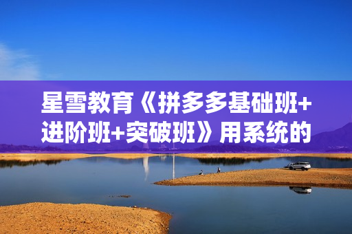 星雪教育《拼多多基础班+进阶班+突破班》用系统的学习模式快速改变现状
