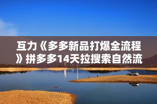 互力《多多新品打爆全流程》拼多多14天拉搜索自然流量，更落地快速提升