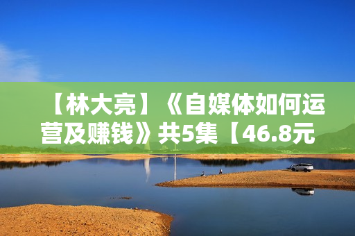 【林大亮】《自媒体如何运营及赚钱》共5集【46.8元】