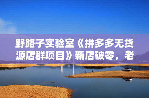 野路子实验室《拼多多无货源店群项目》新店破零，老店拯救等全方位教你打造店铺