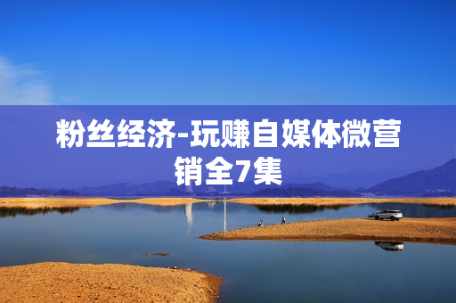 粉丝经济-玩赚自媒体微营销全7集