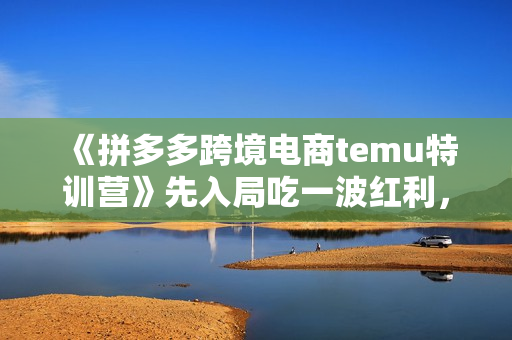 《拼多多跨境电商temu特训营》先入局吃一波红利，从0到1打造爆款，快速变现