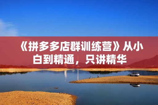 《拼多多店群训练营》从小白到精通，只讲精华